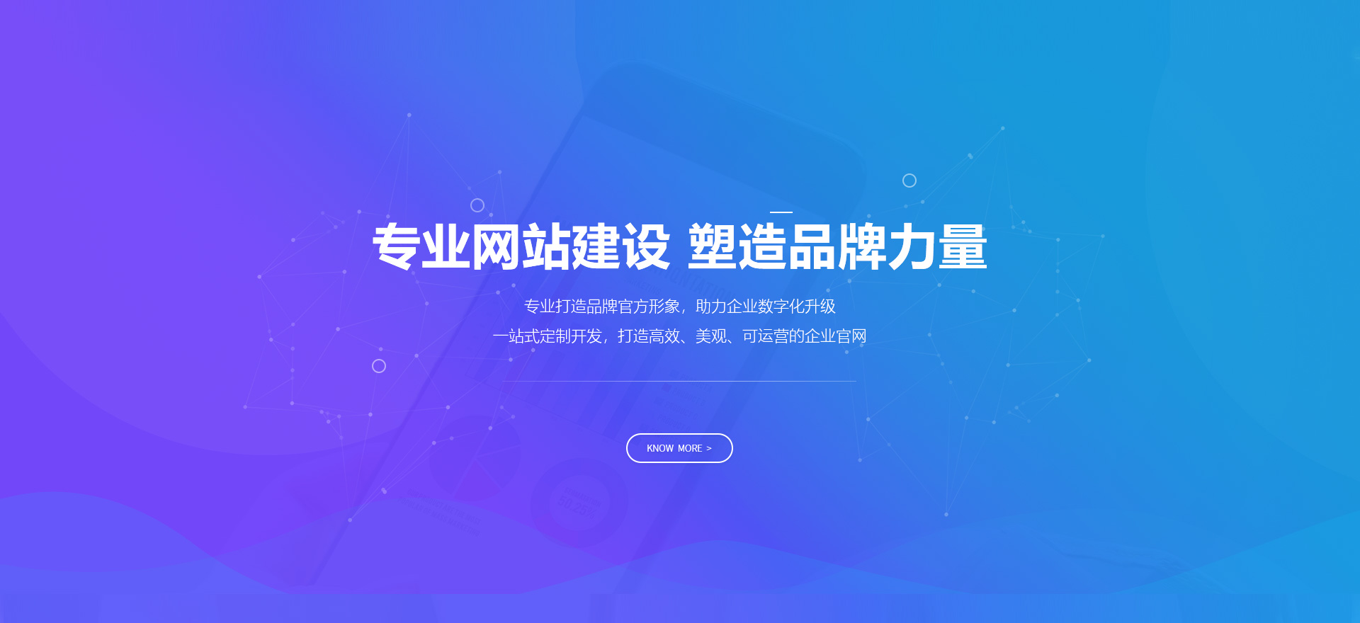 武陵源建站-专业网站建设 塑造品牌力量
